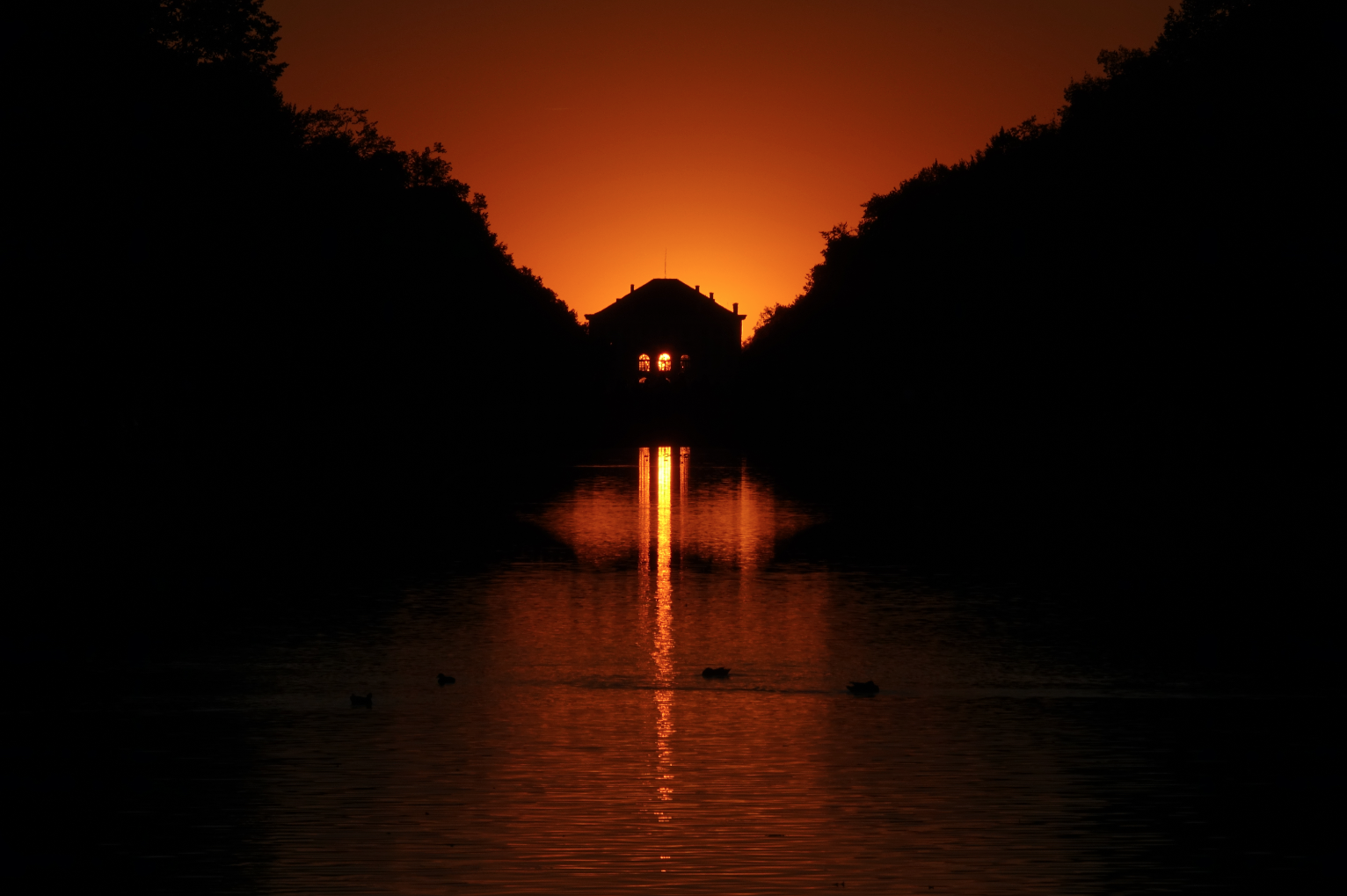 Abbildung urheberrechtlich gesch�tzt